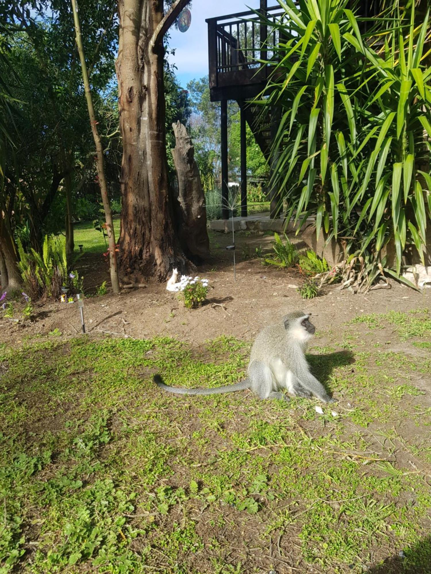 Elephants Loft 斯托姆勒菲 外观 照片